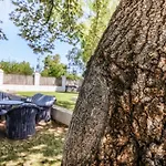 Recreo De San Cayetano Літній будинок