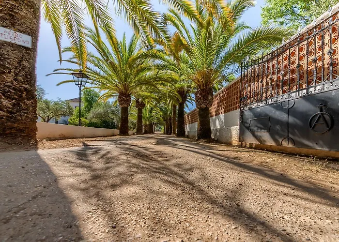 Recreo De San Cayetano *